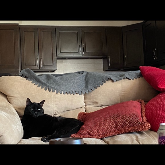 Meet your Posher, Natalie - Picture 1 of 1